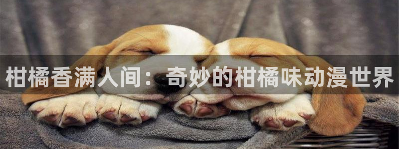 age的动漫下载：柑橘香满人间：奇妙的柑橘味动漫世界配图