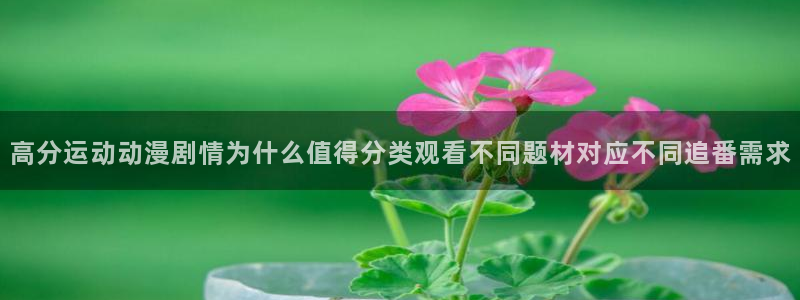 age动漫下载老版本:高分运动动漫剧情为什么值得分类观看不同题材对应不同追番需求配图
