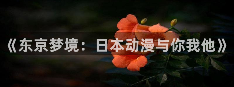 age动漫影视下载:《东京梦境:日本动漫与你我他》配图