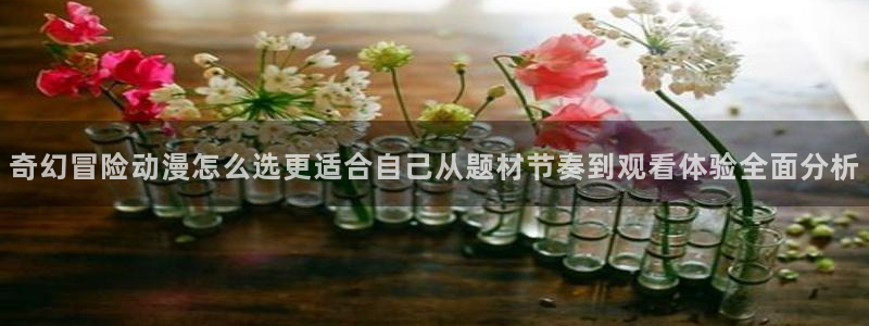 age动漫站下载:奇幻冒险动漫怎么选更适合自己从题材节奏到观看体验全面分析配图