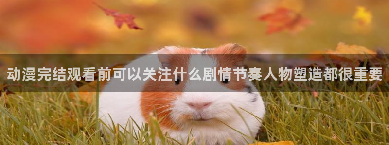 age 动漫咋下载：动漫完结观看前可以关注什么剧情节奏人物塑造都很重要配图