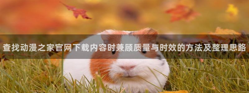 动漫下载age:查找动漫之家官网下载内容时兼顾质量与时效的方法及整理思路配图
