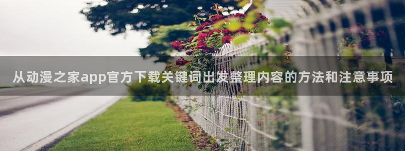 age肉动漫下载:从动漫之家app官方下载关键词出发整理内容的方法和注意事项配图