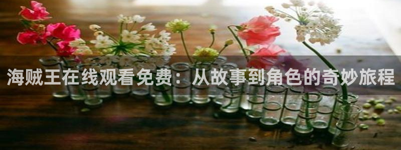 动漫下载网站AGE:海贼王在线观看免费:从故事到角色的奇妙旅程配图