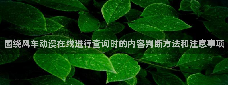 age如何下载动漫：围绕风车动漫在线进行查询时的内容判断方法和注意事项配图