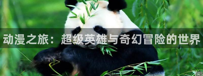 age软件动漫下载：动漫之旅：超级英雄与奇幻冒险的世界配图